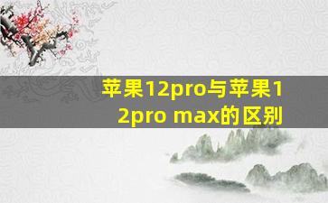 苹果12pro与苹果12pro max的区别